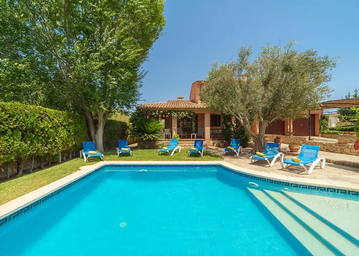 E415 Xisco By Mallorca Selection *