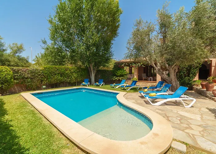 E415 Xisco By Mallorca Selection